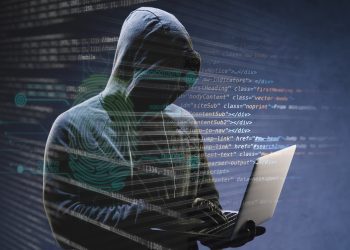 ransomware criminal