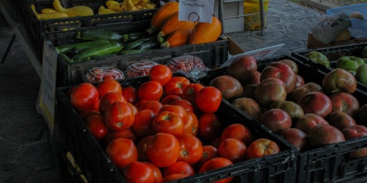 InComm Healthcare Novo Dia Group; Healthy Foods Benefits Cards to be Accepted at 1,500 Farmers Markets Nationwide, payment app